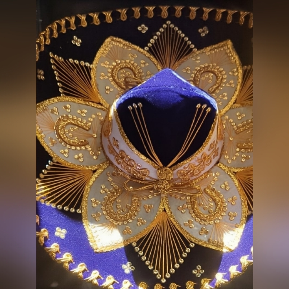 Purple And Gold Authentic Sombrero.